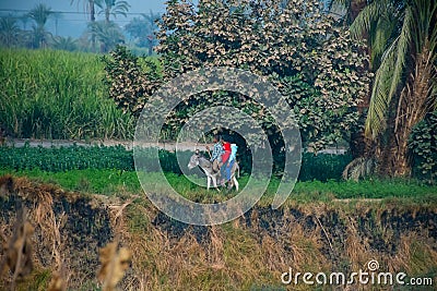 Aswan, Egypt, 24th of December 2018: Daily life on the riverside Nile in Egypt. Poor people living Editorial Stock Photo