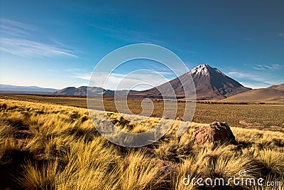 Atacama desert Stock Photo