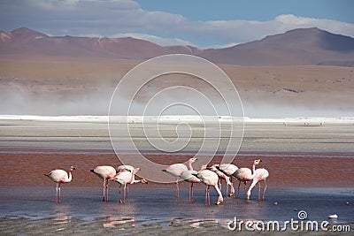 Atacama Desert Stock Photo