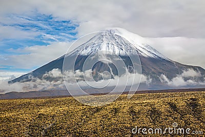 Atacama desert savanna, mountains and volcano landscape, Chile, South America Stock Photo