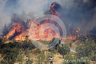 Athens forest fires Editorial Stock Photo