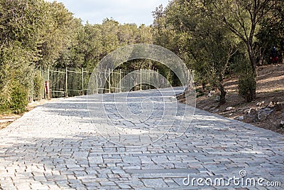 Cobblestone pathway to Acropolis. Marble paved street, Athens, Greece Stock Photo