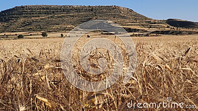 Athienou farmland Stock Photo