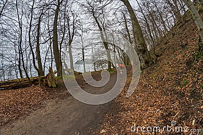 Athlete trailrunning through a forest Stock Photo