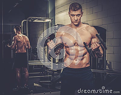 Athletic man doing exercises with dumbbells in the gym's studio Stock Photo