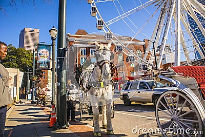 Carriage horse and man close up downtown Atlanta Ferris Wheel Editorial Stock Photo