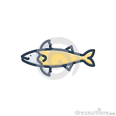 Color illustration icon for Atlantic, fish and tuna Vector Illustration