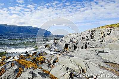 Atlantic Ocean in Newfoundland Stock Photo