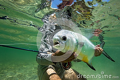 Atlantic Permit - Fly Fishing Stock Photo