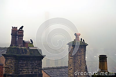 Atmospheric image of crows perched on chimneys in winter fog in hebden bridge west yorkshire Stock Photo
