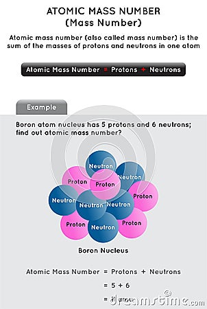 Atomic Mass Number Infographic Diagram Vector Illustration