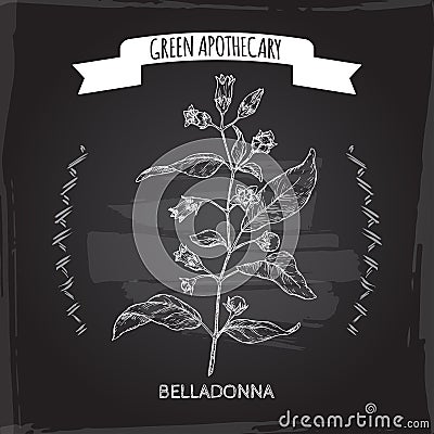 Atropa belladonna aka belladonna or deadly nightshade sketch on black. Green apothecary series. Vector Illustration