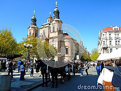 Attached horses at Prague`s Old Town Square Editorial Stock Photo