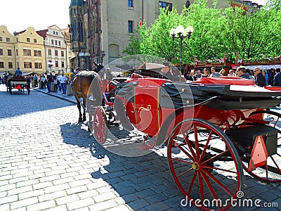 Attached horses at Prague`s Old Town Square Editorial Stock Photo