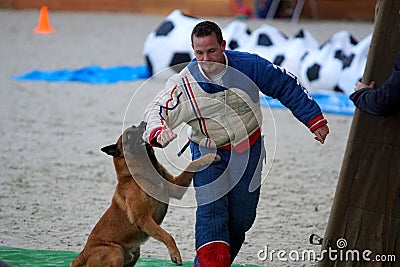 Mondioring World Championship 2018. Editorial Stock Photo