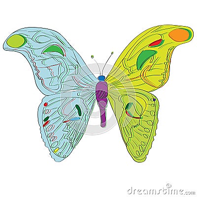 Attacus atlas butterfly childish illustration Vector Illustration