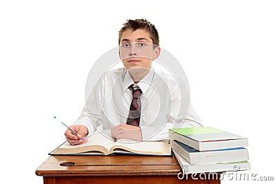 Attentive school student doing work Stock Photo