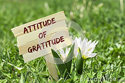 Attitude of gratitude Stock Photo