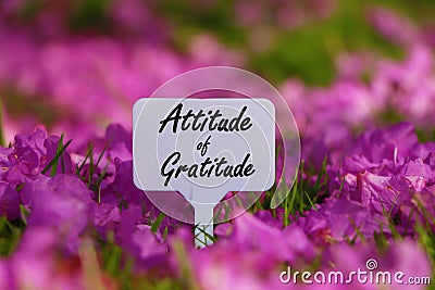 Attitude of gratitude quote. Stock Photo