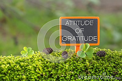 Attitude of gratitude text on small blackboard Stock Photo