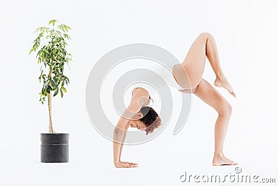 Attractive african american flexible woman doing backbend yoga pose Stock Photo