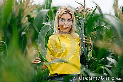 An attractive blonde woman in a yellow tank top walks in a cornfield in summer. Portrait of a beautiful, young, sexy long-haired Stock Photo