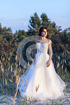 Attractive brunette woman with makeup and hairstyle wearing white wedding dress while posing at glade. standing and looking away Stock Photo