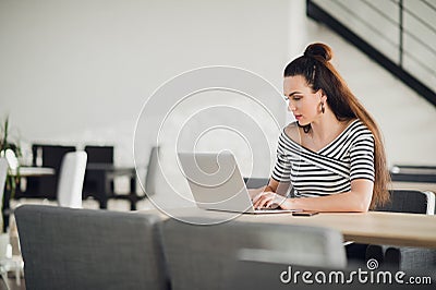 Attractive concentrated adult woman browsing the internet and searching information for business during lunchtime. Stock Photo