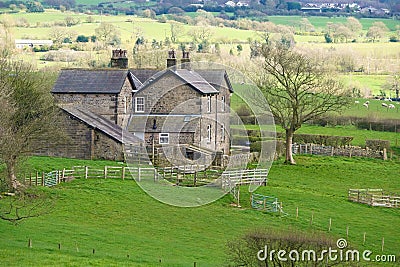 Denham Hall Farmhouse Brindle. Stock Photo