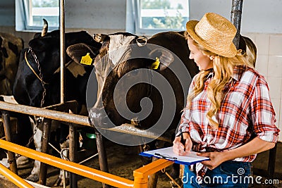 attractive farmer in straw hat holding clipboard and looking at cows Stock Photo