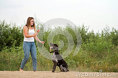Attractive girl walking the dog Stock Photo
