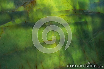 Attractive stylish texture in new green tone. Stock Photo