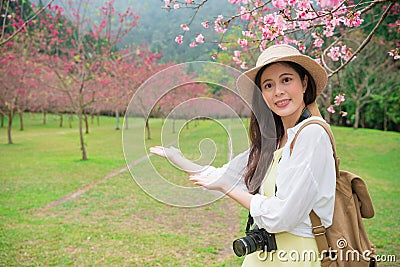 Attractive traveler woman making showing gesture Stock Photo
