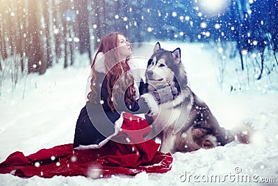 Attractive woman with the dogs. Stock Photo