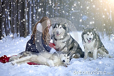 Attractive woman with the dogs Stock Photo