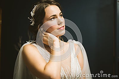 Attractive young bride before wedding ceremony. Bride`s Preparations. Wedding Morning. Charming bride in white wedding dress at Stock Photo