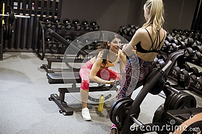 Attractive young sporty focused fitness womanl doing biceps exercises while sitting on the bench and raising dumbell in the gym Stock Photo