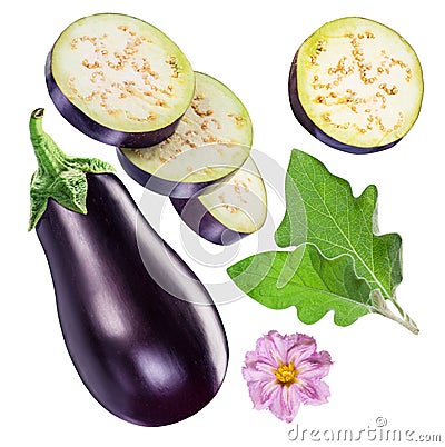 Aubergine or eggplant, aubergine flower, leaves and slices. Clip Stock Photo