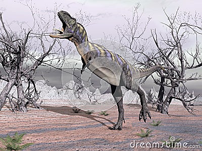 Aucasaurus dinosaur - 3D render Stock Photo