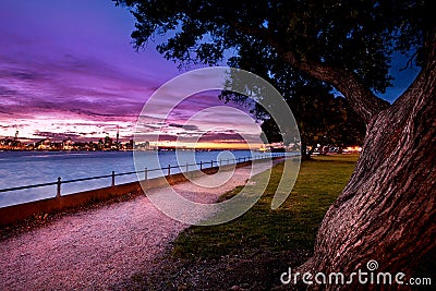 Auckland City from north Shore Stock Photo