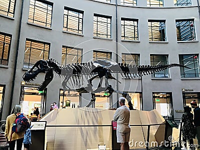Dinosaur skeleton Tyrannosaurus at Auckland Memorial museum Editorial Stock Photo