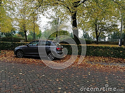 Audi A1 the fall silver gold landscape Editorial Stock Photo