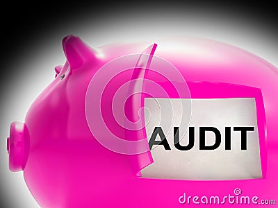 Audit Piggy Bank Message Means Inspection And Validation Stock Photo