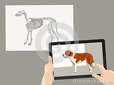 Augmented reality. AR. The skeleton of the dog is complemented by a real image on the tablet screen. Hands hold a gadget. Vector Vector Illustration