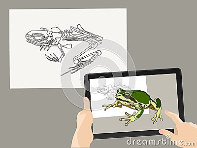 Augmented reality. AR. The skeleton of the frog is complemented by a real image on the tablet screen. Hands hold a gadget. Vector Vector Illustration