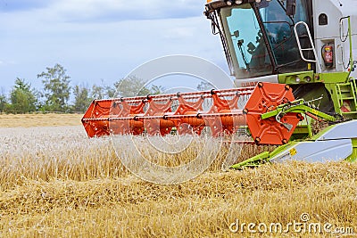 22 August 2021 Skutec, Czech Republic: Combine harvester harvests wheat close-up. Work in the field. Editorial Stock Photo
