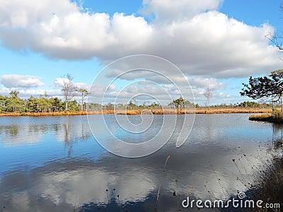 Aukstumalos swamp in autumn , Lithuania Stock Photo