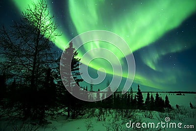Aurora Borealis above Tundra Stock Photo