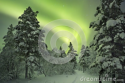 Aurora borealis over a path through winter landscape, Finnish La Stock Photo