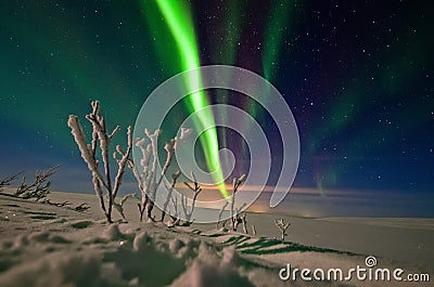 Aurora Borealis in Teriberka Editorial Stock Photo